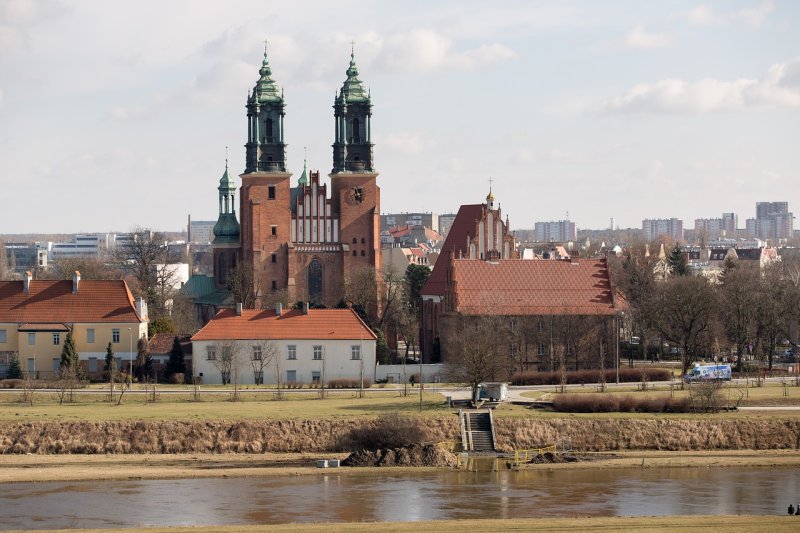 Kucnia wielkopolska